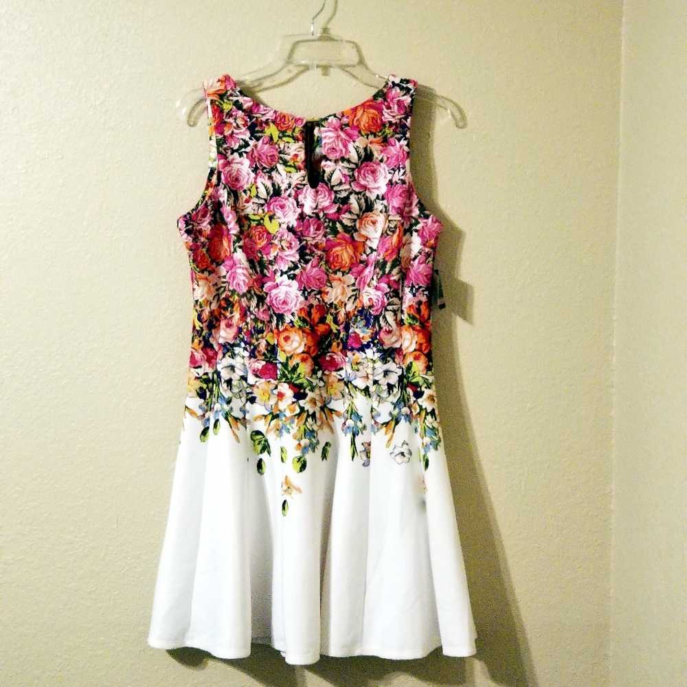 Gabby Skye Keyhole Fit & Flare Sleeveless BNWT